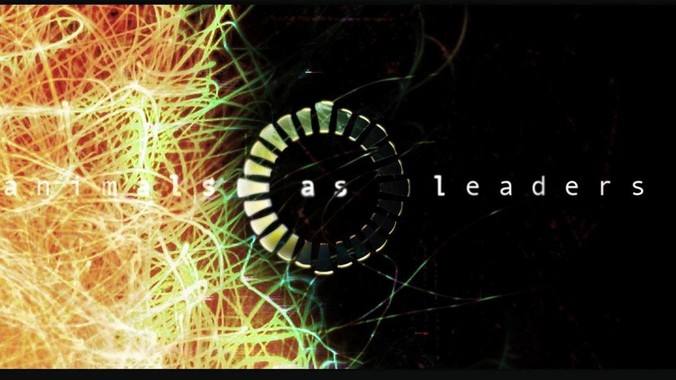 我养的小乌龟一天不吃龟食会不会饿死呢?